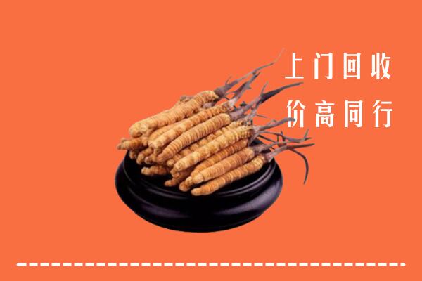 高价求购：安阳县回收散虫草