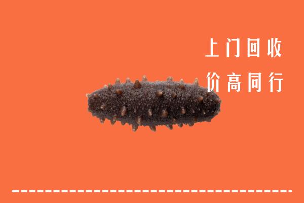 高价求购：安阳县回收海参