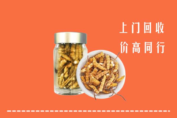 安阳县回收冬虫夏草