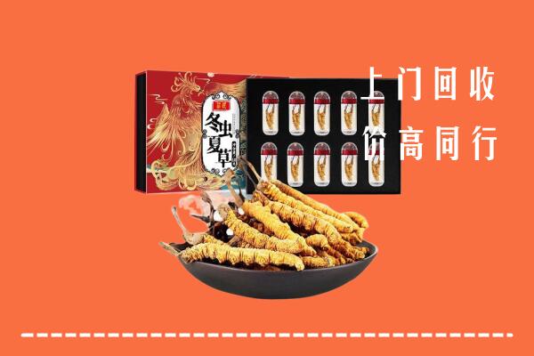 安阳县回收虫草